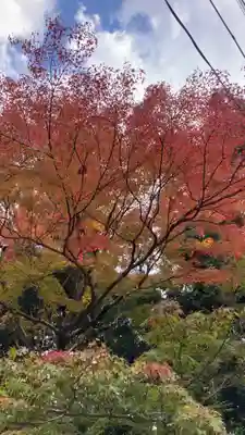 二尊院(京都府)