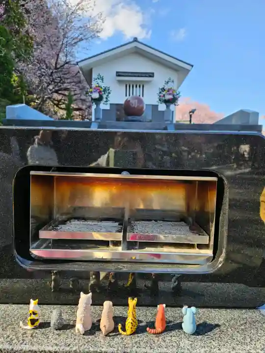 密藏院の{uncategorized: "未分類", other: "その他", undefined: "問題あり", building: "その他建物", grave: "お墓", sacred_gate: "鳥居", guardian: "狛犬", statue: "像", buddha: "仏像", history: "歴史", nature: "自然", garden: "庭園", animal: "動物", pagoda: "塔", temizu: "手水舎", mountain_gate: "山門・神門", sanctuary: "本殿・本堂", subordinate: "末社・摂社", art: "芸術", scenery: "景色", jizo: "地蔵", ema: "絵馬", goshuin: "御朱印", omikuji: "おみくじ", items: "授与品その他", amulet: "お守り", goshuincho: "御朱印帳", eats: "食事", festival: "お祭り", votive_dance: "神楽", shichigosan: "七五三参", wedding: "結婚式", experience: "体験その他", initially: "初詣", around: "周辺", anti_infection: "感染症対策"}