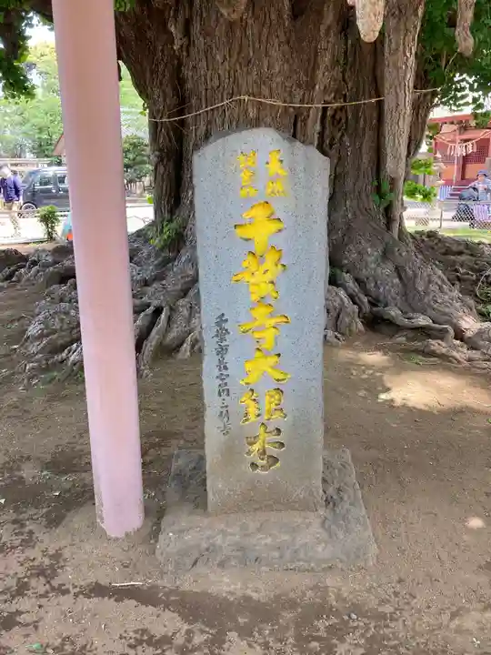 千葉寺のその他建物