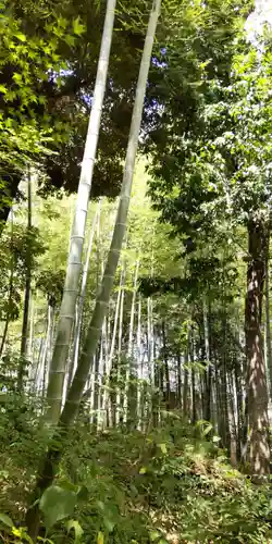 向日神社(京都府)