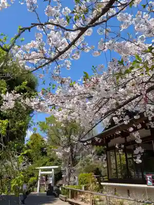 鳩森八幡神社(東京都)