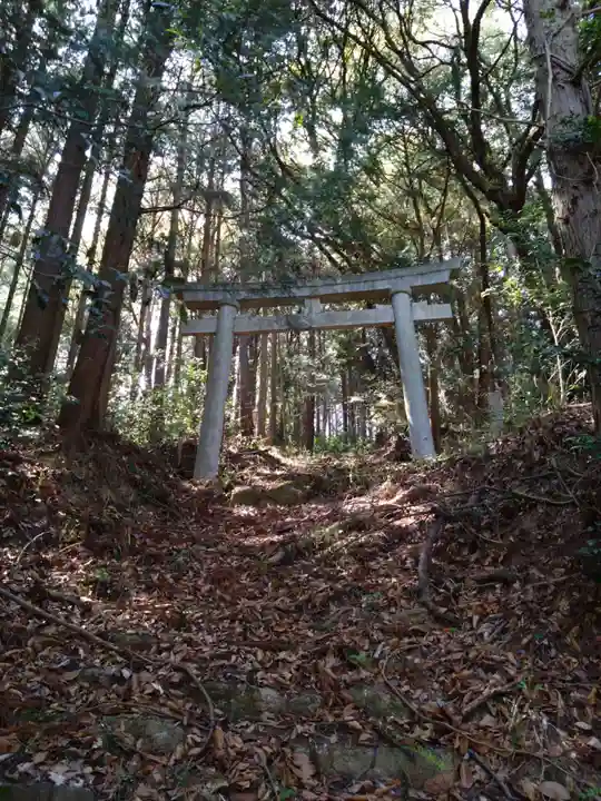 津島神社(愛知県)
