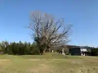 三峯神社の自然