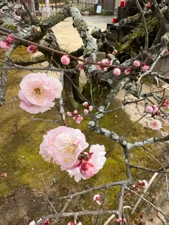 岩津天満宮(愛知県)