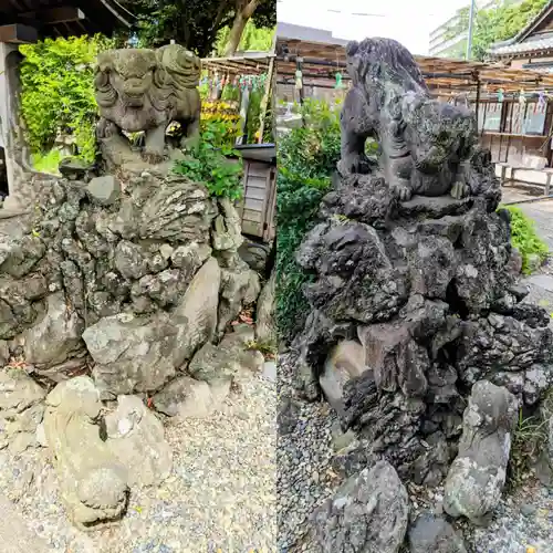 菊田神社の狛犬