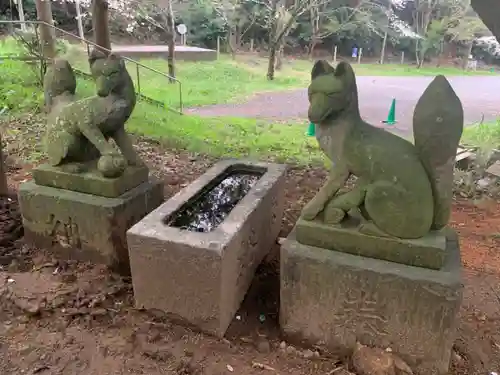 諏訪神社の狛犬