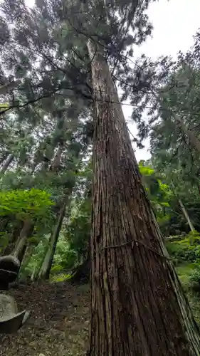 與喜天満神社(奈良県)