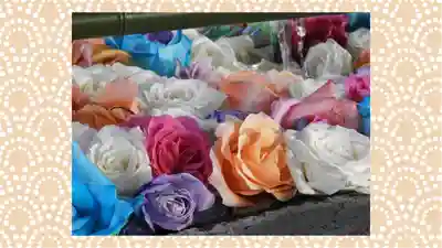 草加神社(埼玉県)