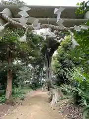 雷神社(千葉県)