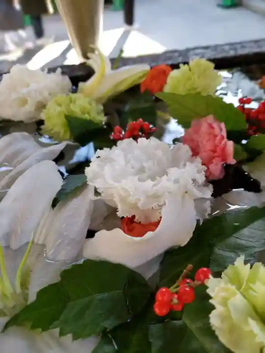 鳩森八幡神社(東京都)