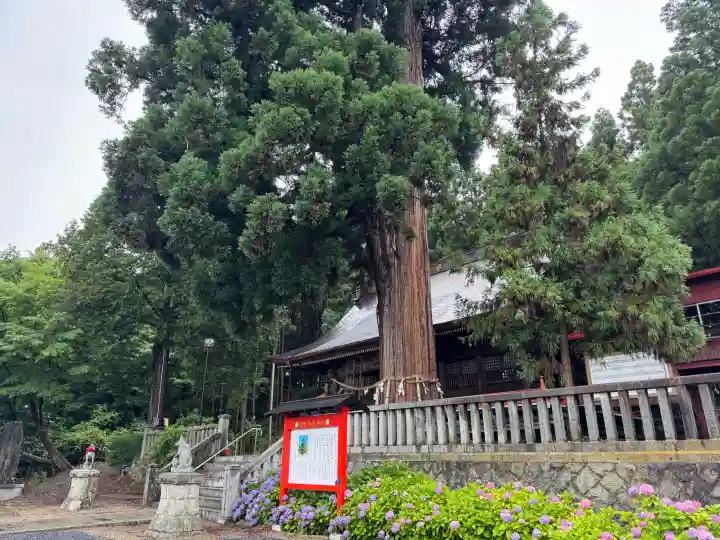 鼬幣稲荷神社(岩手県)