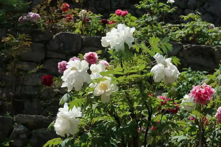 長谷寺(奈良県)