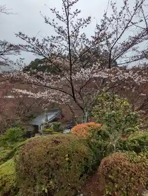 善峯寺(京都府)