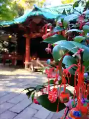 赤坂氷川神社(東京都)