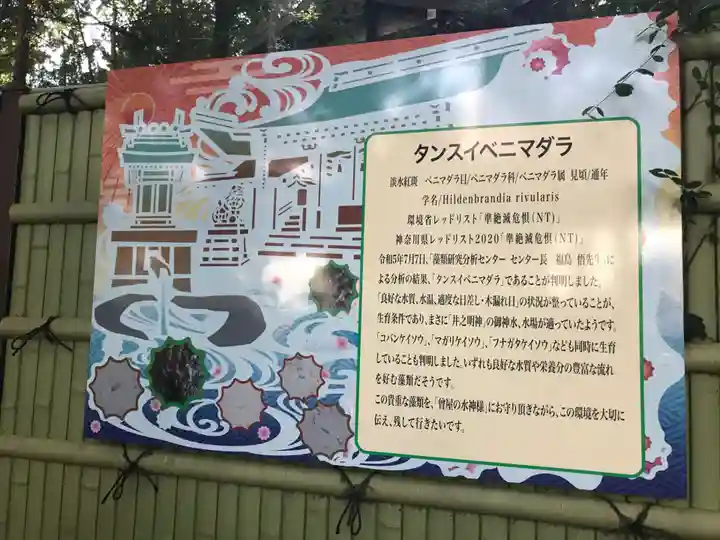 曾屋神社(神奈川県)