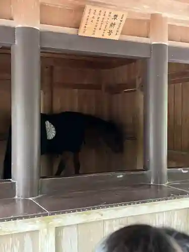 伊勢神宮内宮（皇大神宮）の{uncategorized: "未分類", other: "その他", undefined: "問題あり", building: "その他建物", grave: "お墓", sacred_gate: "鳥居", guardian: "狛犬", statue: "像", buddha: "仏像", history: "歴史", nature: "自然", garden: "庭園", animal: "動物", pagoda: "塔", temizu: "手水舎", mountain_gate: "山門・神門", sanctuary: "本殿・本堂", subordinate: "末社・摂社", art: "芸術", scenery: "景色", jizo: "地蔵", ema: "絵馬", goshuin: "御朱印", omikuji: "おみくじ", items: "授与品その他", amulet: "お守り", goshuincho: "御朱印帳", eats: "食事", festival: "お祭り", votive_dance: "神楽", shichigosan: "七五三参", wedding: "結婚式", experience: "体験その他", initially: "初詣", around: "周辺", anti_infection: "感染症対策"}