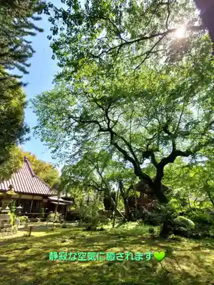 光丸山 法輪寺(栃木県)