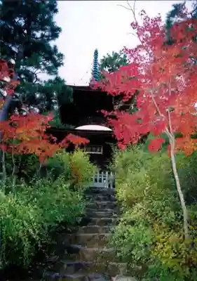 常寂光寺の塔