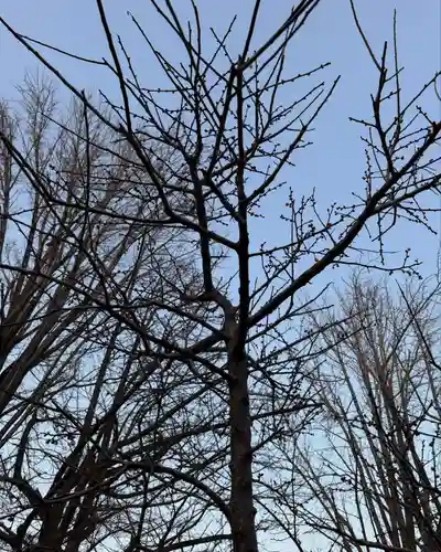 温泉神社〜いわき湯本温泉〜(福島県)