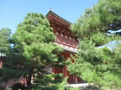 大徳寺の山門