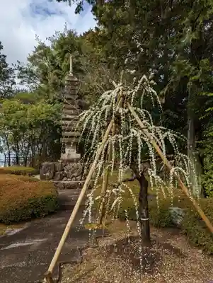 三室戸寺(京都府)
