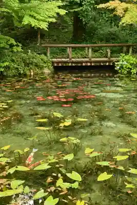 根道神社(岐阜県)