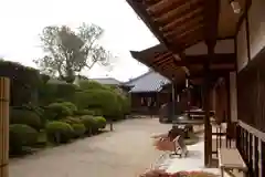 金剛寺の庭園