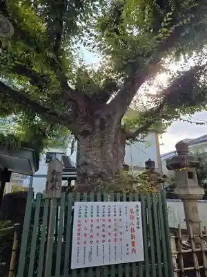 二宮神社(兵庫県)