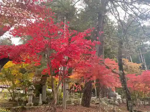 日蓮宗 安楽寺の自然