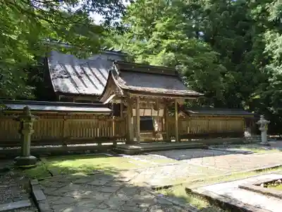 若狭彦神社（上社）の本殿・本堂