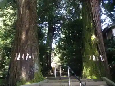 石清水八幡宮のその他建物