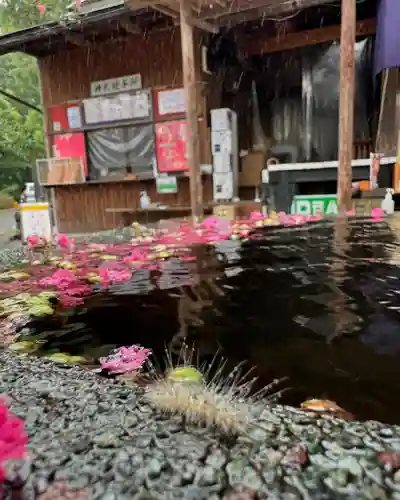 賀茂別雷神社(栃木県)