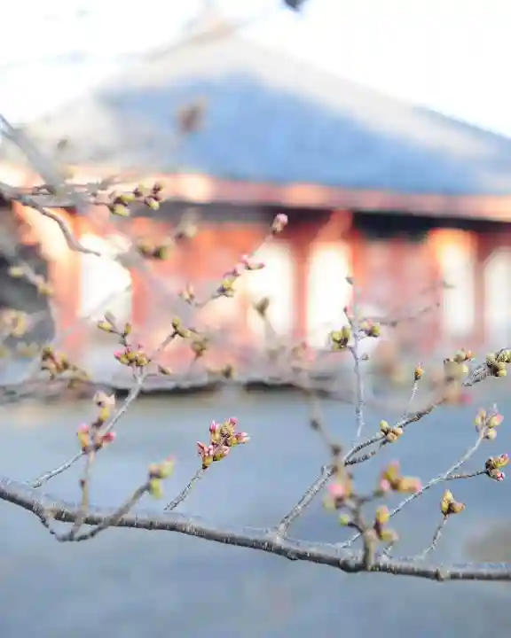 浄土寺の本殿・本堂