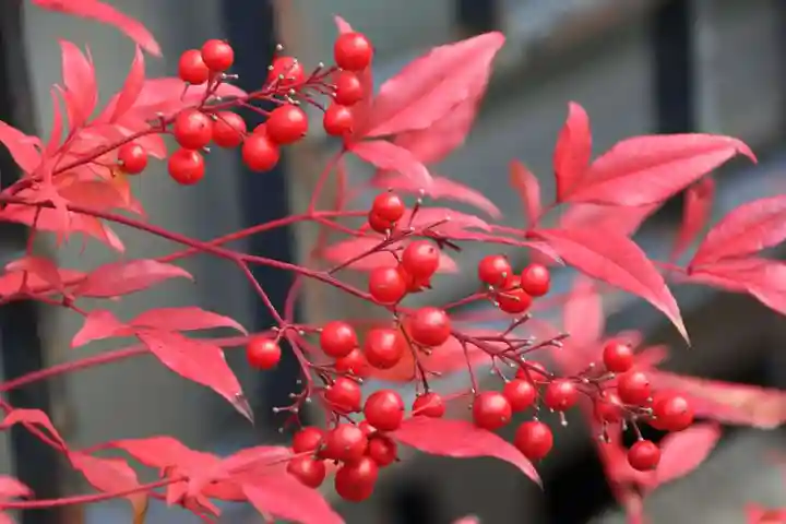 阿邪訶根神社(福島県)