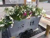 樽前山神社の手水舎