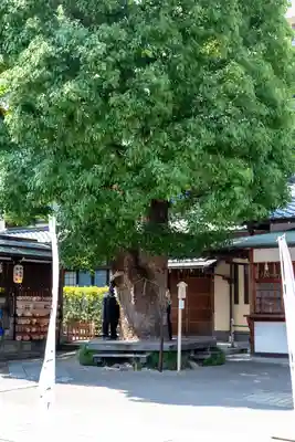 晴明神社(京都府)
