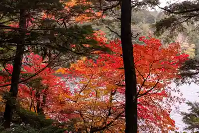 大瀧神社(長野県)