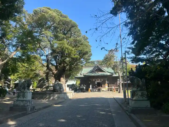 鶴谷八幡宮(千葉県)
