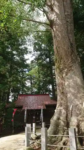 向田神社の本殿・本堂