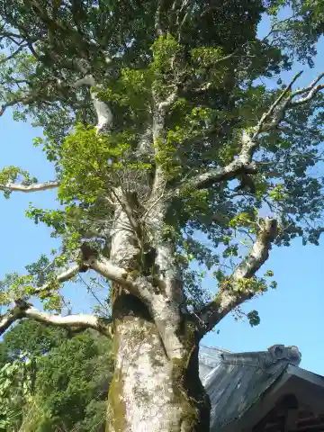 易往寺(愛知県)