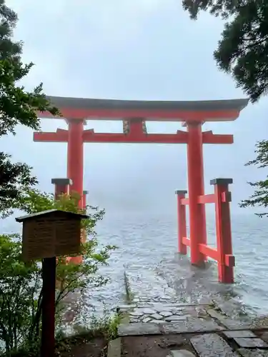 箱根神社の鳥居