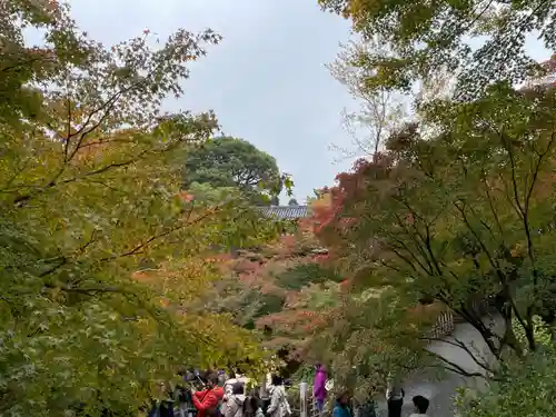 東福禅寺（東福寺）(京都府)