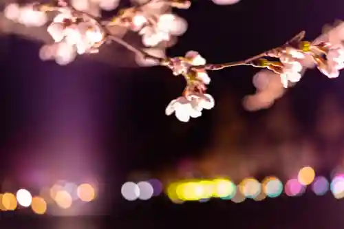 平安神宮(京都府)