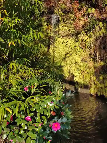 銭洗弁財天宇賀福神社(神奈川県)
