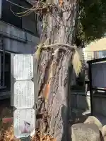 八坂神社の{uncategorized: "未分類", other: "その他", undefined: "問題あり", building: "その他建物", grave: "お墓", sacred_gate: "鳥居", guardian: "狛犬", statue: "像", buddha: "仏像", history: "歴史", nature: "自然", garden: "庭園", animal: "動物", pagoda: "塔", temizu: "手水舎", mountain_gate: "山門・神門", sanctuary: "本殿・本堂", subordinate: "末社・摂社", art: "芸術", scenery: "景色", jizo: "地蔵", ema: "絵馬", goshuin: "御朱印", omikuji: "おみくじ", items: "授与品その他", amulet: "お守り", goshuincho: "御朱印帳", eats: "食事", festival: "お祭り", votive_dance: "神楽", shichigosan: "七五三参", wedding: "結婚式", experience: "体験その他", initially: "初詣", around: "周辺", anti_infection: "感染症対策"}