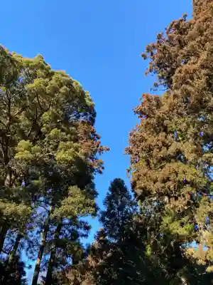 那須神社(栃木県)