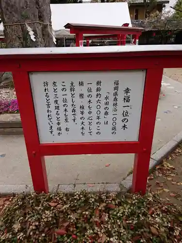 恋木神社の歴史