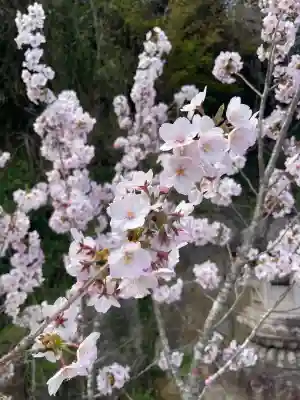 釣石神社の{uncategorized: "未分類", other: "その他", undefined: "問題あり", building: "その他建物", grave: "お墓", sacred_gate: "鳥居", guardian: "狛犬", statue: "像", buddha: "仏像", history: "歴史", nature: "自然", garden: "庭園", animal: "動物", pagoda: "塔", temizu: "手水舎", mountain_gate: "山門・神門", sanctuary: "本殿・本堂", subordinate: "末社・摂社", art: "芸術", scenery: "景色", jizo: "地蔵", ema: "絵馬", goshuin: "御朱印", omikuji: "おみくじ", items: "授与品その他", amulet: "お守り", goshuincho: "御朱印帳", eats: "食事", festival: "お祭り", votive_dance: "神楽", shichigosan: "七五三参", wedding: "結婚式", experience: "体験その他", initially: "初詣", around: "周辺", anti_infection: "感染症対策"}