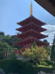 高幡不動尊　金剛寺の塔