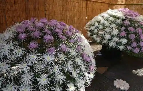 湯島天満宮のお祭り